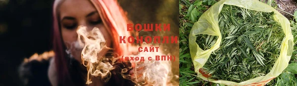 прущие грибы Тольятти
