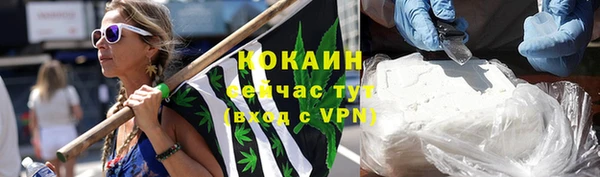 прущие грибы Тольятти