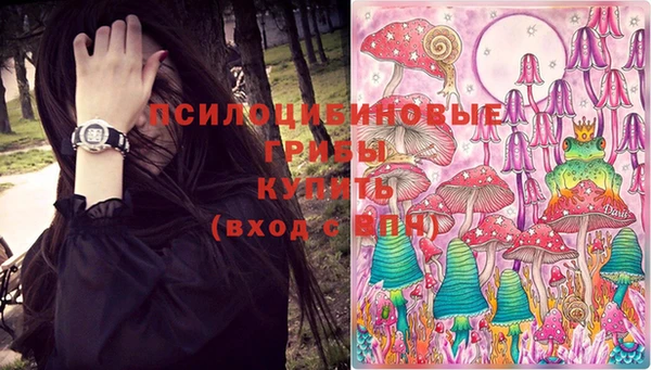 прущие грибы Тольятти